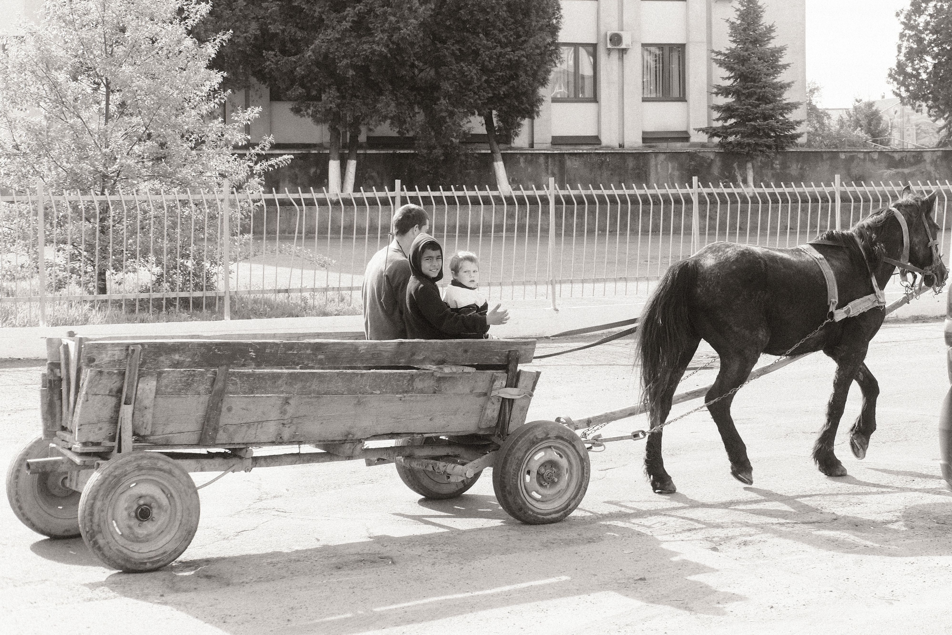 Looking at a Stranger