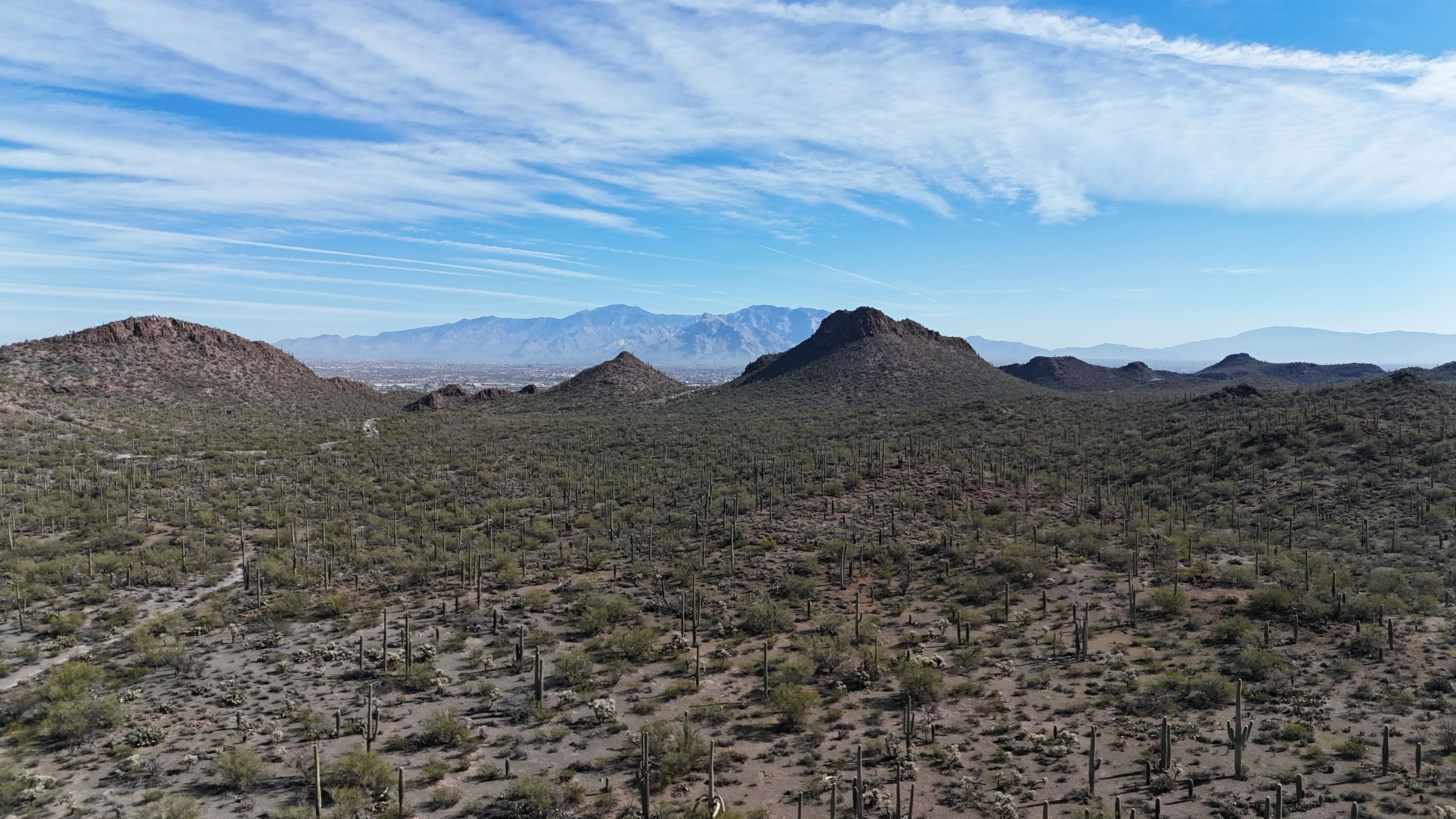 Saguaro National Park
